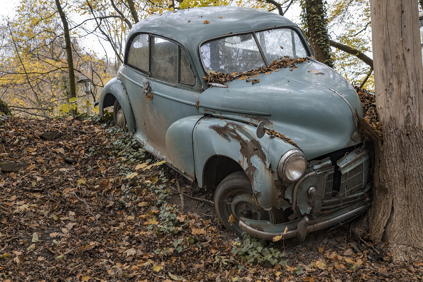 6684R Autofriedhof Neandertal Morris