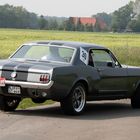 66'er Mustang