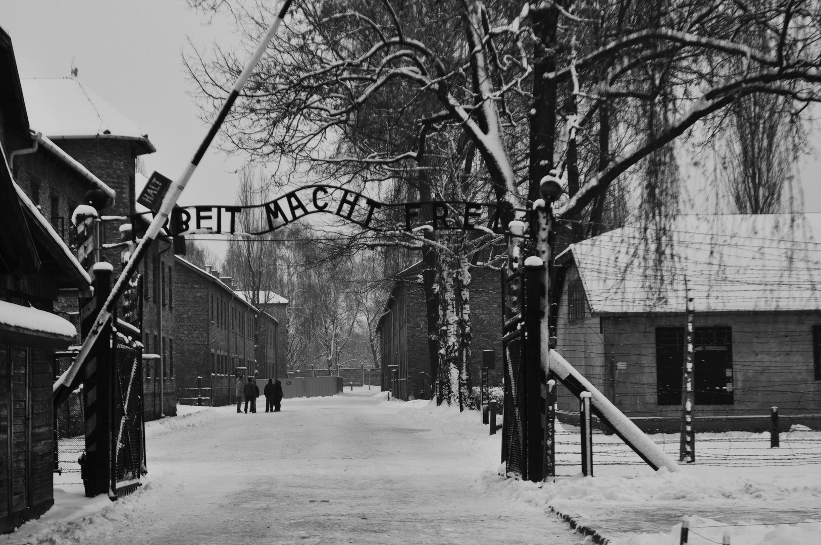 67 Jahrestag der Auschwitz