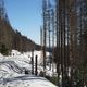 Pfade entlang der Borckenbahn