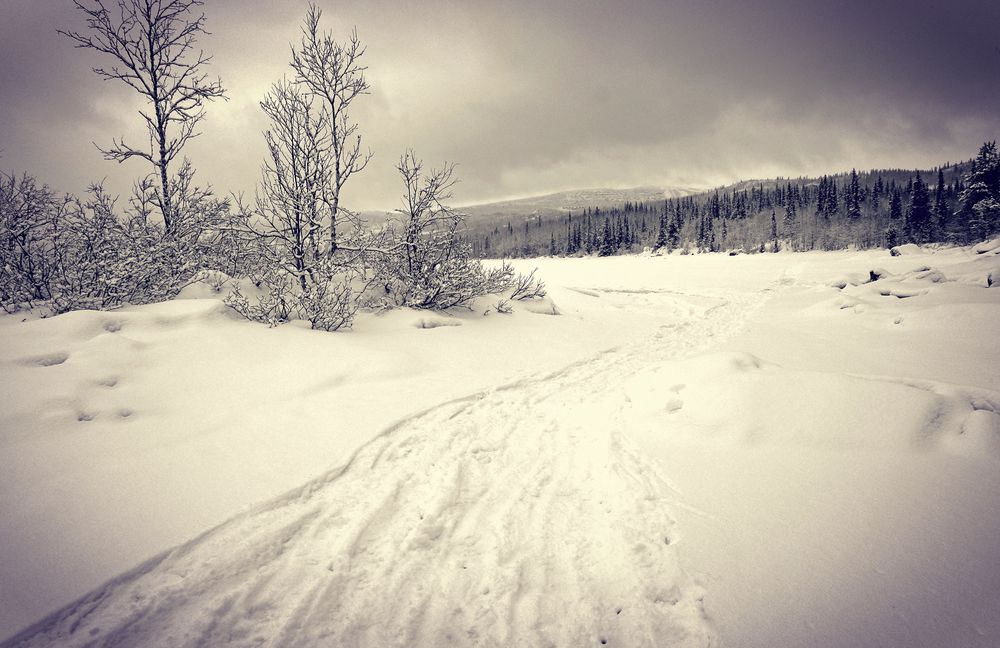 Winter wonderland von MiaWallace81 