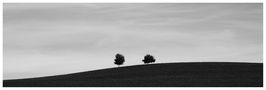 Minimal by Wehrle Siegfried 