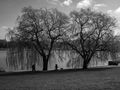 Stadtparksee by Matthias Brose