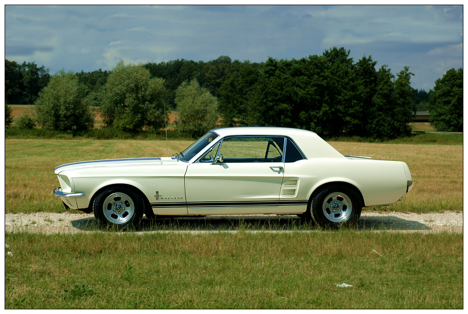 67er Ford Mustang - 289er Engine (Seite)