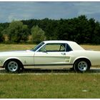 67er Ford Mustang - 289er Engine (Seite)