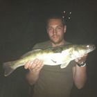 68 cm Zander