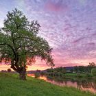 6860S Sonnenuntergang Rinteln an der Weser mit alter Weide