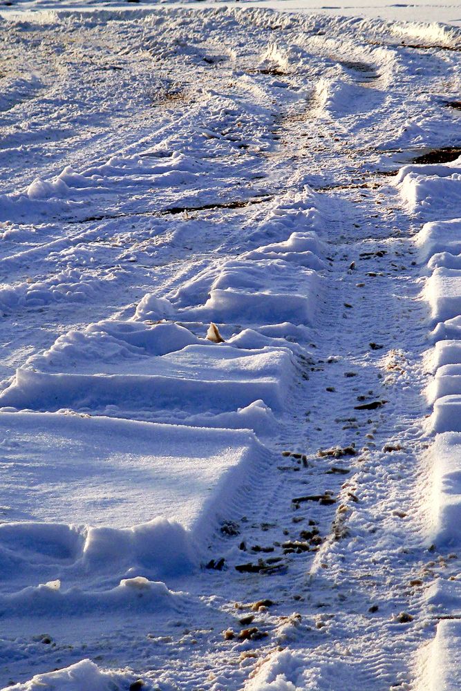 Spuren im Schnee von Ras Rotter 