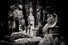 Main Cemetery Cologne III by Gerhard Gleim 