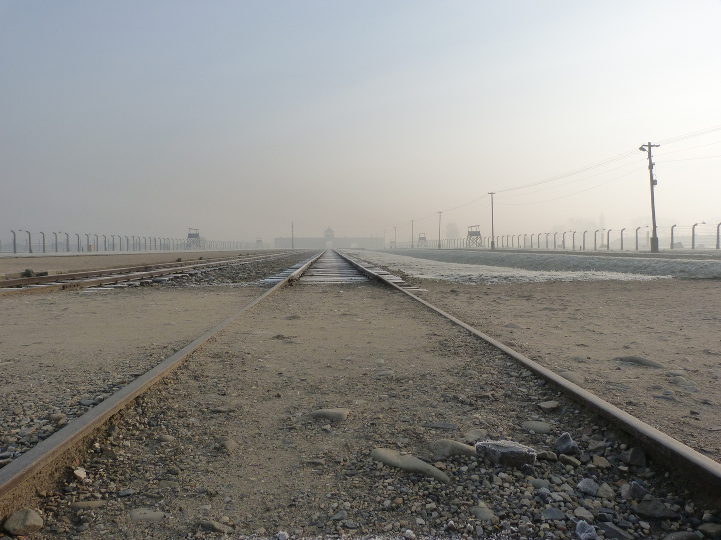 69. Jahrestag der Befreiung des Konzentrationsslager Auschwitz-Birkenau (1)