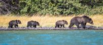 Taking the family for Dinner  by Viktor Davare