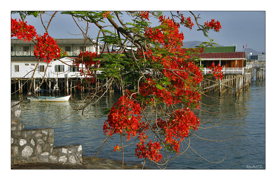 (69/07) Hua Hin in der Morgensonne