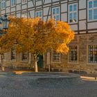 6931R Rinteln Marktplatz Herbst