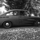 69er VW 1600 TL (Seite)