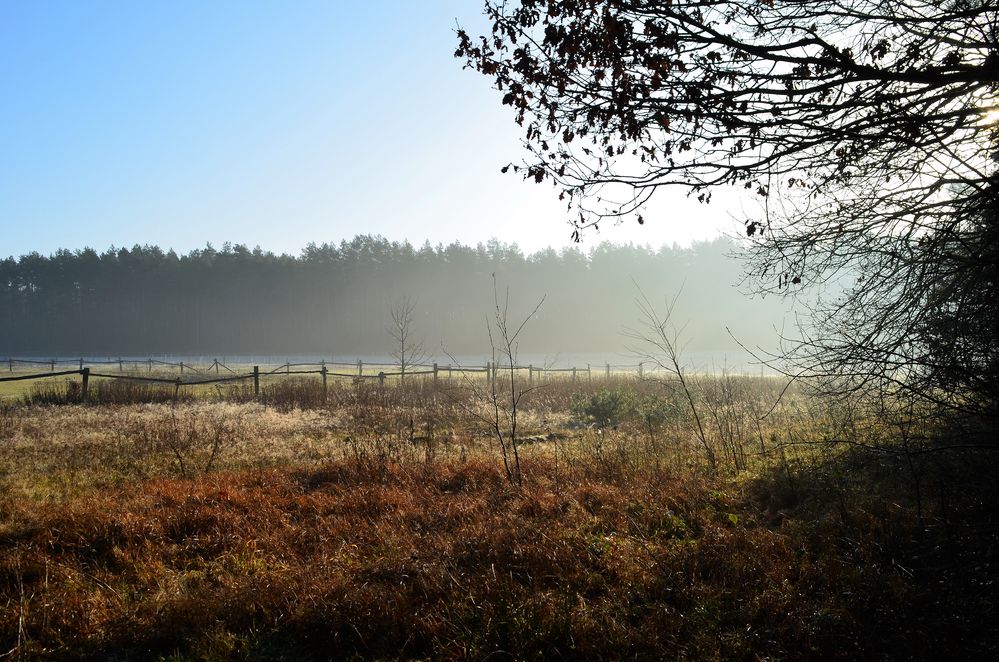 Winterliches Licht... von Christiane Balke