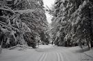 Skileupen in Wildbach Kreuth by SYLKON 