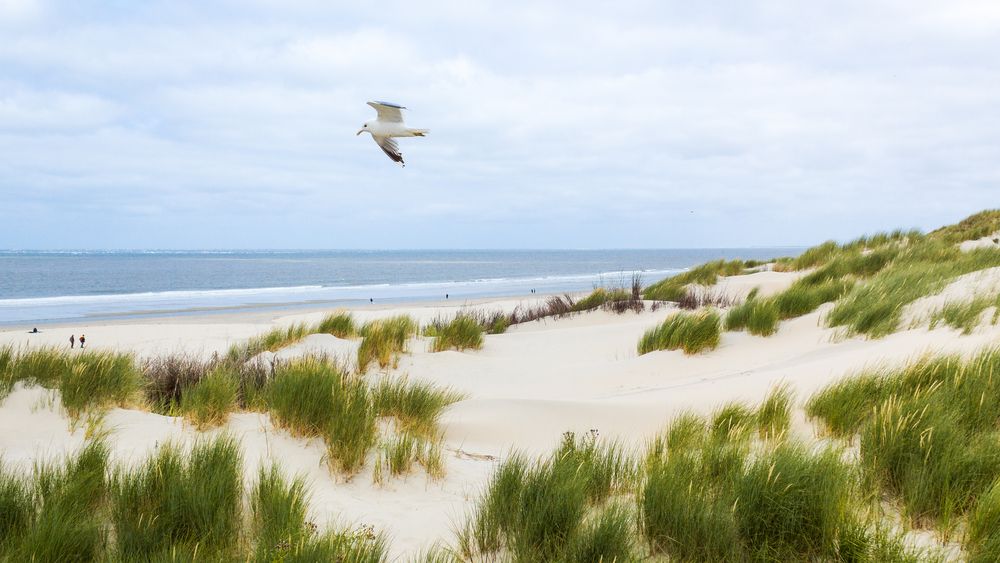 Gegenwind an der Nordsee von Julia Steidl