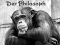 Der Philosoph von Wolfgang H. Krause 