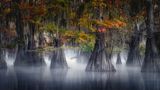 MYSTIC BAYOU di martinbauer