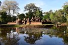 Banteay Srei by hansa5044