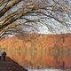 Herbst am Haus Scheppen am Baldeneysee