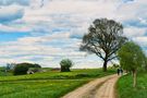 Spaziergang bei Breckerfeld