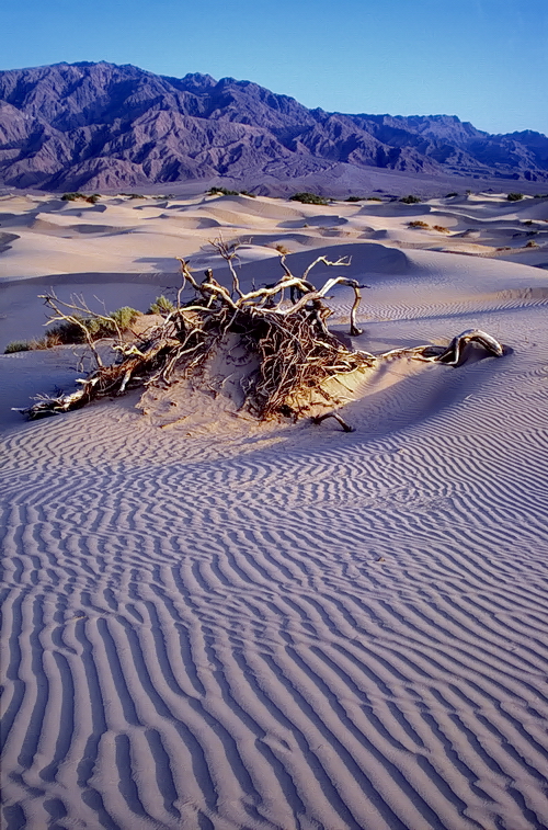 death_valley von  Klaus Ender