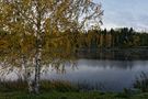 Goldene Herbst von Valerij Rein