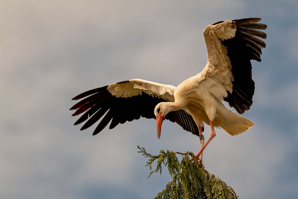 Abflug von Verhoff