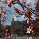 Frhling in der Speicherstadt