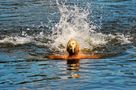 Abkühlung im Wasser von Carola Scholz