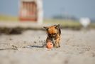 Am Strand Ball spielen... by SJB 