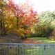 Herbst im Tiergarten (3)