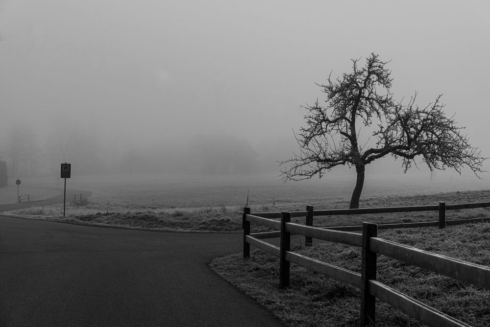 Kreuzug im Nebel von Sandra Fey