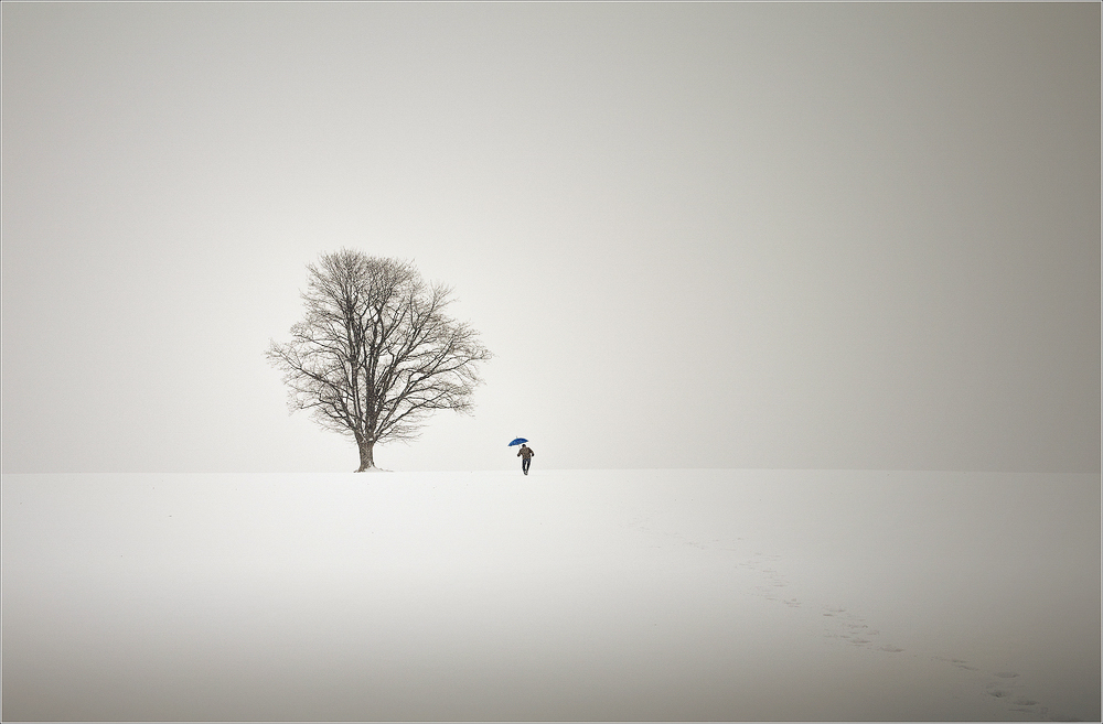 Stolperpfad by Christine Ellger 