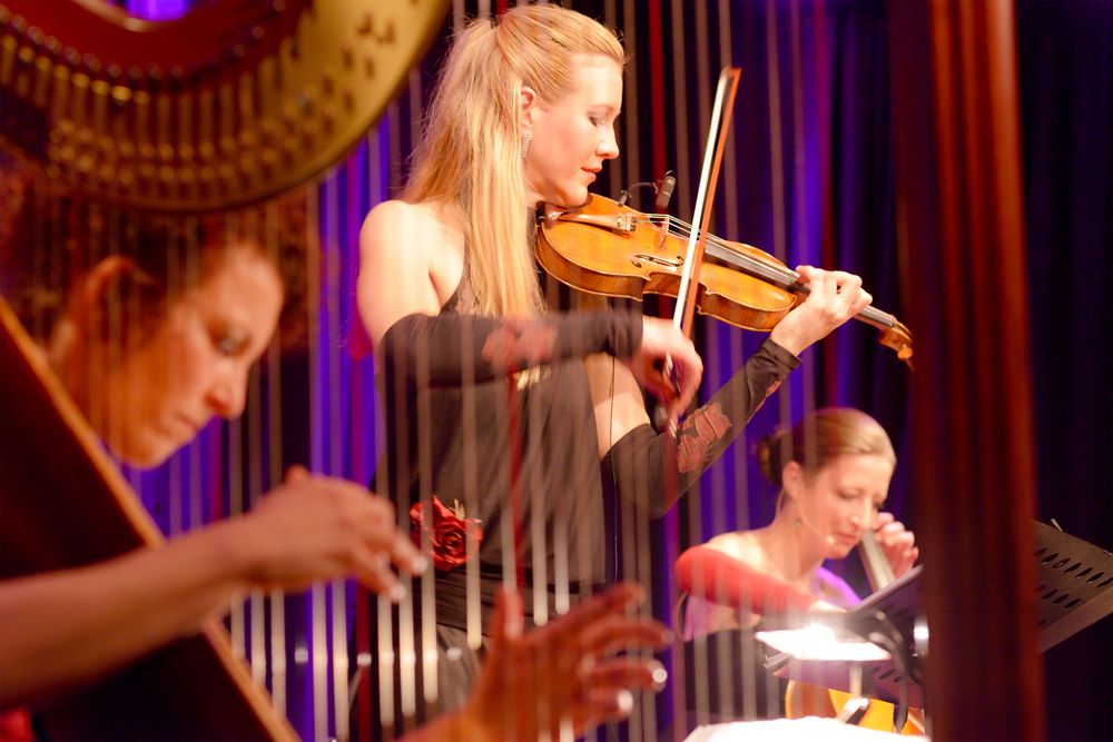 Eintauchen in die Musik von kornelia kauss