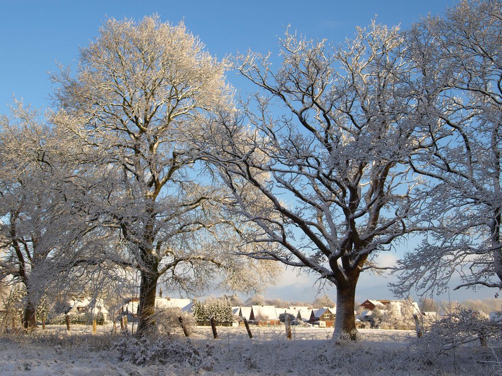 Winter am Stadtrand von Reinhard Paulin