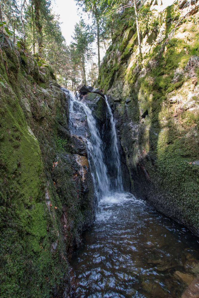 Mon paradis sauvage de ED Photography