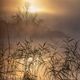 Morgens am Schreckensee