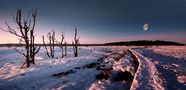 encore un peu nuit et presque jour by jane B 