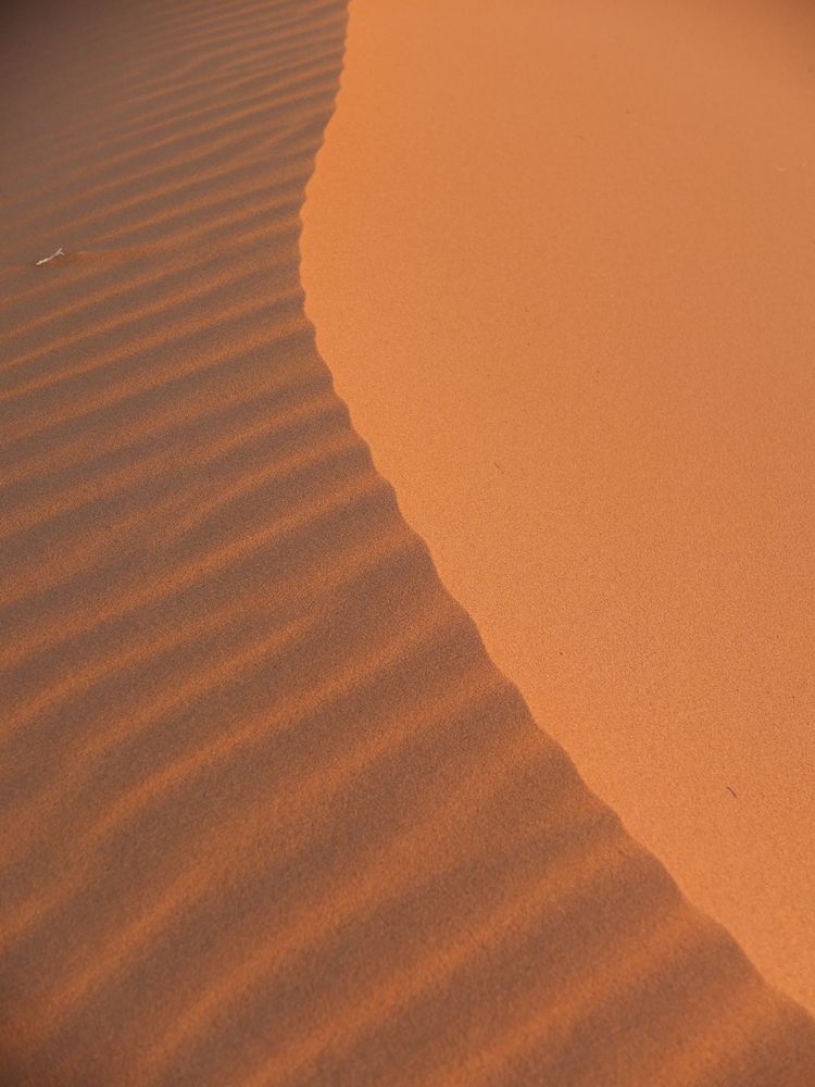 Wüstendüne mit Muster von arte-mariposa