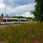 6NGTW 304 Von Oberer Bahnhof in Richtung Stadtzentrum In Plauen