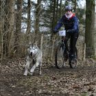 6.Norddeutscher Vielseitigkeitslauf in Sittensen