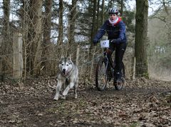 6.Norddeutscher Vielseitigkeitslauf in Sittensen