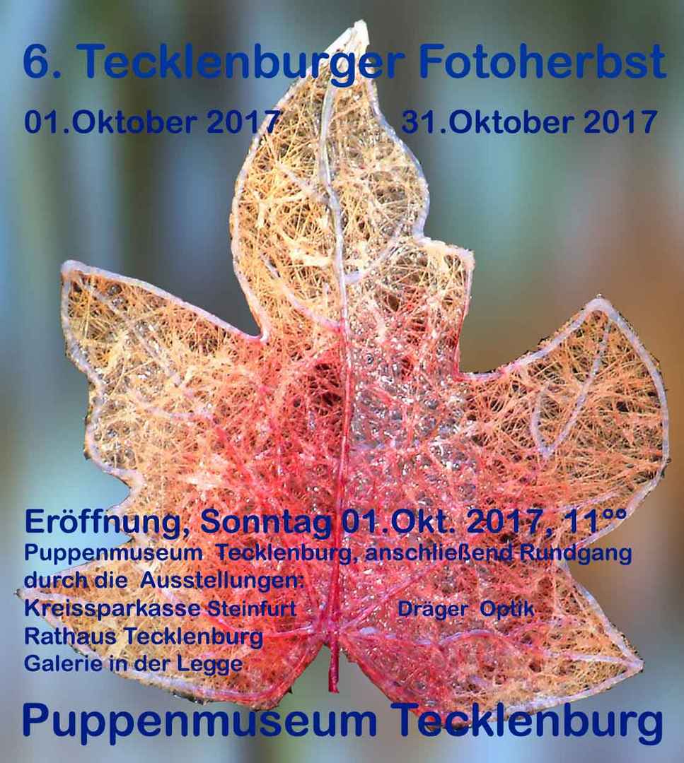 6.Tecklenburger Fotoherbst