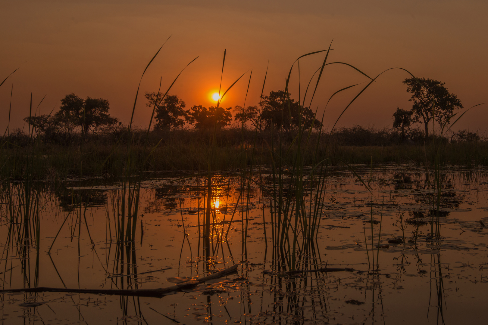 7-Afrika 2019_0078-Okavango-Delta