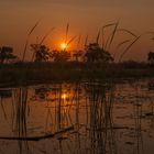 7-Afrika 2019_0078-Okavango-Delta