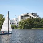 7 auf Alster