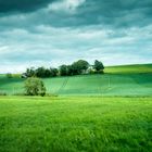 7 Blick aus dem Busfenster