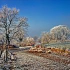 7.... du côté d'Annecy